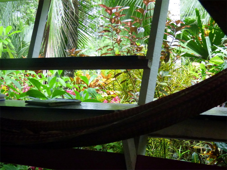 A view out of a very open wall construction showing tropical greenery and a hammock